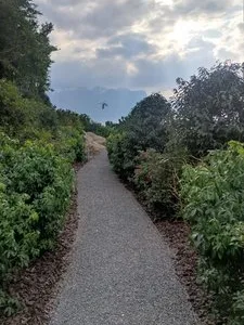 Amenajare si intretinere gradini
