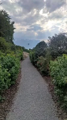 Amenajare si intretinere gradini