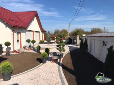 Amenajari gradini - Ilfov