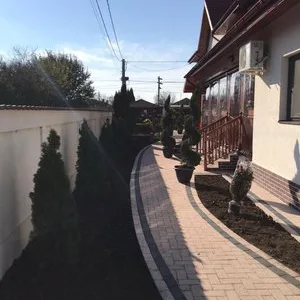 Amenajari gradini - Ilfov
