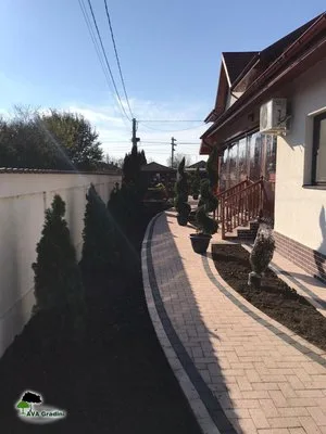 Amenajari gradini - Ilfov