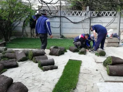 Proiectare - amenajare - intretinere gradina