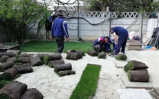 Proiectare - amenajare - intretinere gradina