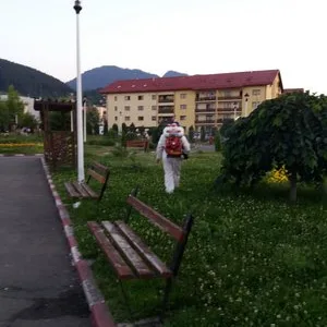 Dezinsectie - deratizare si dezinfectie Bucuresti - Ilfov