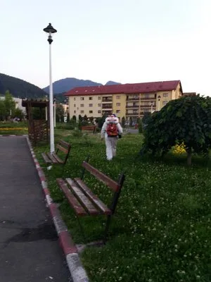 Dezinsectie - deratizare si dezinfectie Bucuresti - Ilfov