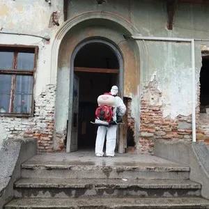 Dezinsectie - deratizare si dezinfectie Bucuresti - Ilfov