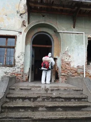 Dezinsectie - deratizare si dezinfectie Bucuresti - Ilfov