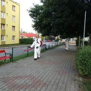 Dezinsectie - deratizare si dezinfectie Bucuresti - Ilfov