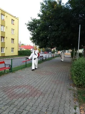 Dezinsectie - deratizare si dezinfectie Bucuresti - Ilfov