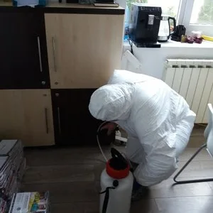 Dezinsectie - deratizare si dezinfectie Bucuresti - Ilfov