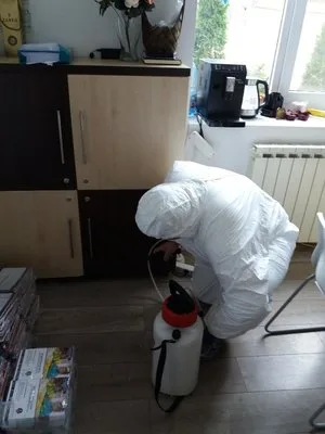 Dezinsectie - deratizare si dezinfectie Bucuresti - Ilfov