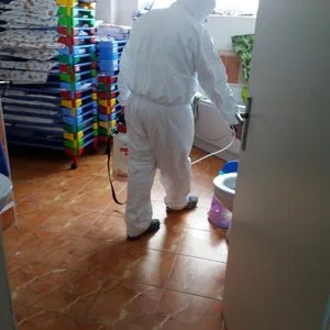 Dezinsectie - deratizare si dezinfectie Bucuresti - Ilfov