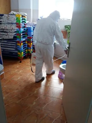 Dezinsectie - deratizare si dezinfectie Bucuresti - Ilfov