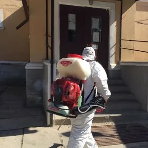 Dezinsectie - deratizare si dezinfectie Bucuresti - Ilfov