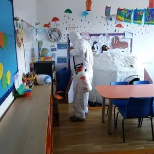 Dezinsectie - deratizare si dezinfectie Bucuresti - Ilfov