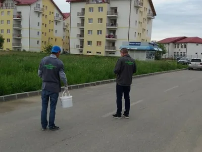 Dezinsectie - deratizare si dezinfectie Bucuresti - Ilfov