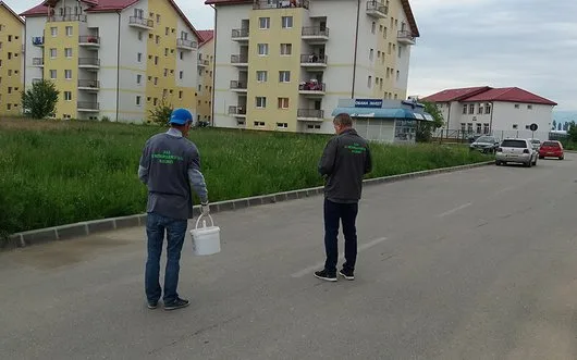 Dezinsectie - deratizare si dezinfectie Bucuresti - Ilfov