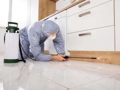 Dezinsectie - deratizare si dezinfectie Bucuresti - Ilfov