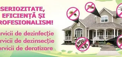 Deratizare - dezinsectie si dezinfectie Bucuresti