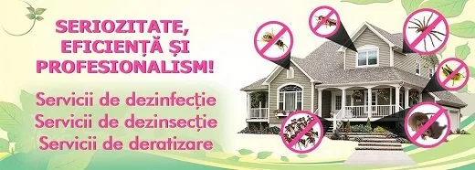 Deratizare - dezinsectie si dezinfectie Bucuresti