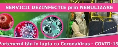 Deratizare - dezinsectie si dezinfectie Bucuresti
