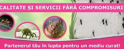 Deratizare - dezinsectie si dezinfectie Bucuresti