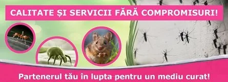 Deratizare - dezinsectie si dezinfectie Bucuresti
