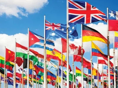 Avocat Solomon Adina