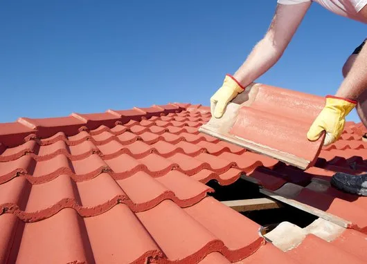 Constructii si reparatii acoperisuri
