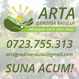Amenajari spatii verzi Arges