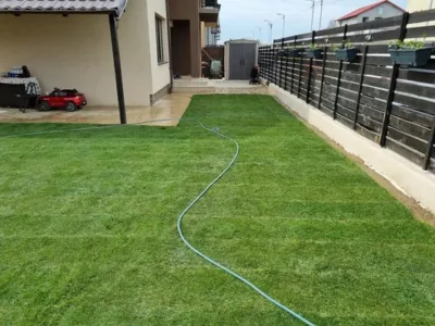 Amenajari spatii verzi Arges