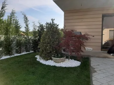 Amenajari spatii verzi Arges