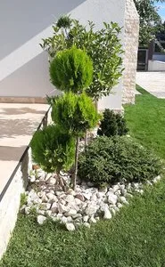 Amenajari spatii verzi Arges