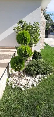 Amenajari spatii verzi Arges