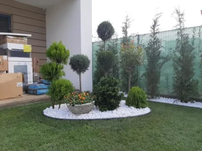 Amenajari spatii verzi Arges
