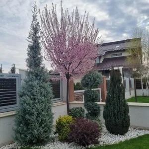 Amenajari spatii verzi Arges