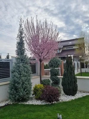 Amenajari spatii verzi Arges