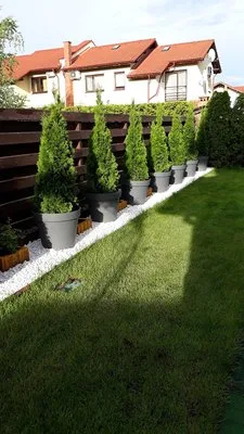 Proiectare - executie si intretinere gradini Arges