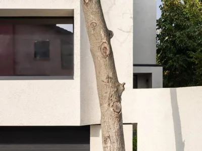 Arhitectura si design interior