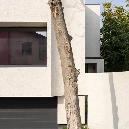 Arhitectura si design interior