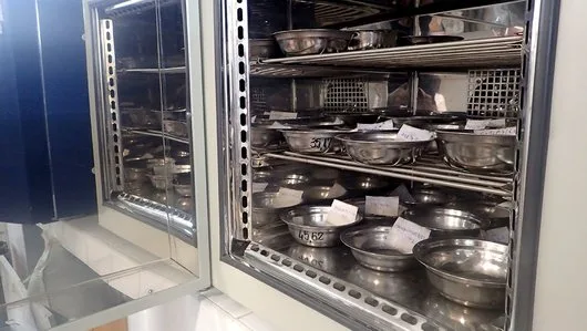 Studii geotehnice si de mediu