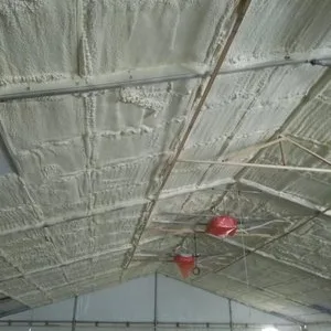 Servicii profesionale de izolatie Bucuresti