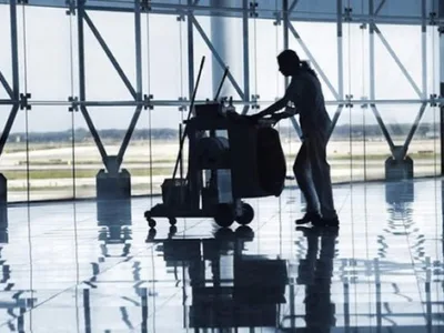 Deratizare - Dezinsectie - Dezinfectie - Bucuresti