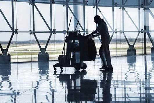 Deratizare - Dezinsectie - Dezinfectie - Bucuresti