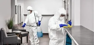 Deratizare - Dezinsectie - Dezinfectie - Bucuresti