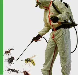 Deratizare - Dezinsectie - Dezinfectie - Bucuresti