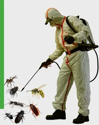 Deratizare - Dezinsectie - Dezinfectie - Bucuresti