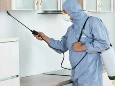 Deratizare - Dezinsectie - Dezinfectie - Bucuresti