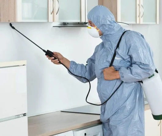 Deratizare - Dezinsectie - Dezinfectie - Bucuresti