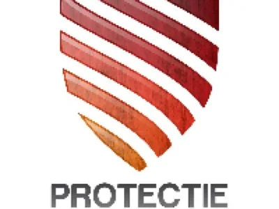 Protectie Lemn